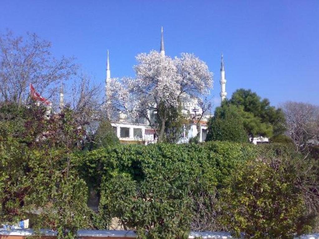 Hotel Tashkonak Istanbul Exterior foto